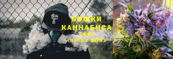 стаф Карпинск